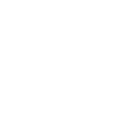 instagramIcon